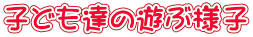 qǂB̗Vԗlq